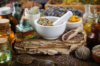 Des plantes utilisées en naturopathie