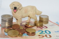 Une figurine de chien à côté de billets et de pièces de monnaie