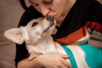 Une femme fait un câlin à un chien avec un body post-opératoire
