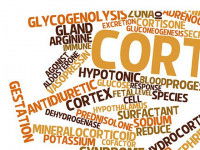 Série de noms scientifiques et médicaux