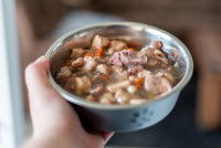 Un homme apporte une gamelle de pâtée à son chien