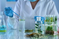 Une laborantine prépare des médicaments à base de plantes