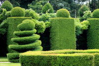 Des scultpures avec du buis