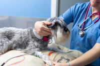 Les instruments et procédés utilisés