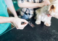 La recherche des anticorps