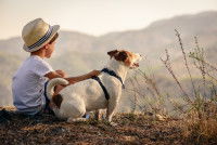 Un petit garçon et son chien regardent le paysage