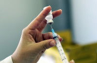 Un vétérinaire prépare une seringue pour vacciner un chien contre la rage
