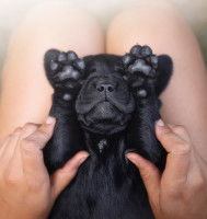 Savoir si le shiatsu est efficace