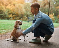 Un homme éduque son chien dans un parc public
