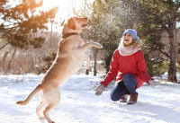 Une femme et son Labrador jouent dans la neige
