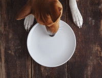 Augmenter la sensation de satiété