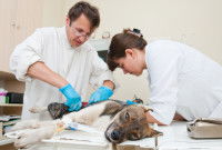 Accident, maladie grave... : comment faire face financièrement