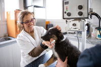 Une vétérinaire administre un vermifuge à un chien