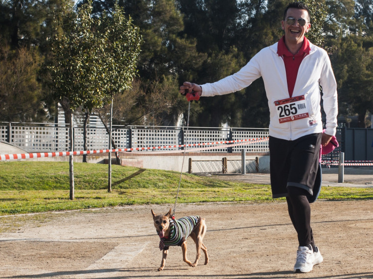 Courir avec son chien : le canicross