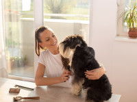 Le toilettage à domicile