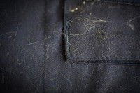 Enlever les poils de chien sur les vêtements