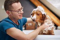Un homme en train de laver son chien