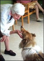 Les activités assistées par l'animal de compagnie