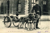 Une photo de 1914 montrant deux chiens tirant un chariot avec une mitrailleuse pendant la Première Guerre mondiale