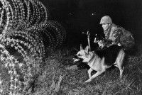 Un chien et un soldat face à des barbelés pendant la guerre du Vietnam