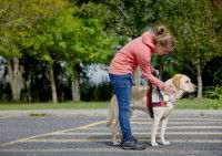 Chien de soutien avec une femme sur un parking