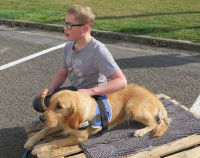 Un jeune garçon caresse un chien couché