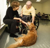Chien d'aide aux handicapés caressé par un homme en chaise roulante