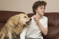 Un chien envahissant à côté de son maître assis sur un canapé