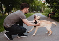 Un homme essaye de calmer son chien