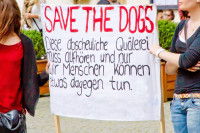 Pancarte d'une manifestation contre l'usage des chiens démineurs