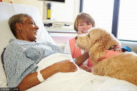 Détecter le cancer du sein