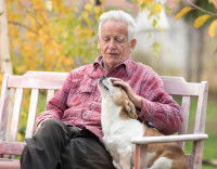 Détecter le cancer de la prostate