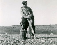Les origines du chien policier