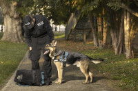 Le chien policier aujourd’hui