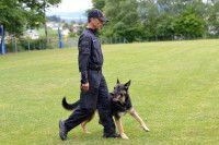 La formation des chiens policiers de la Police Nationale française