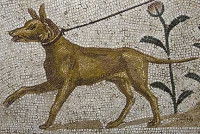 Une mosaïque antique représentant un chien de garde