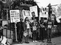 Une manifestation contre la fourrure aux États-Unis