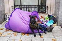 Un sans-abri dormant dans une tente avec son chien qui garde l'entrée
