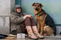 Un homme sans-abri assis dans la rue avec à ses côtés son chien de type berger