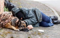 Un homme sans-abri dormant à même le trottoir avec son chien