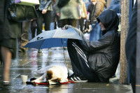 Un homme sans-abri assis dans la rue sous la pluie avec son chien sous un parapluie