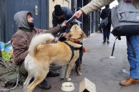 Un homme donnant un papier à un sans-abri assis dans la rue avec son chien