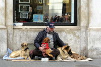 Un sans-abri assis devant un magasin avec ses trois chiens