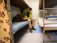 Un dispensaire pour les sans-abri et leurs chiens de la Fondation Prince Laurent