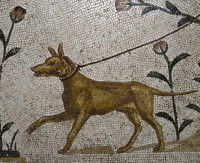 Une gravure de chien datant de la Rome antique