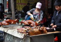 Un stand de viande de chien grillée à la sauvette à Hanoï, au Vietnam