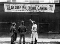 Une boucherie canine à Paris en 1910