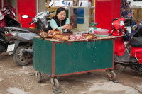 Une vendeuse de chiens rôtis au Vietnam