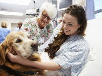 Qu'est ce que la cynothérapie (ou canithérapie) ?