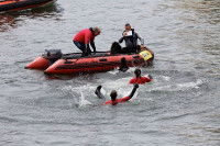 Quelles races de chiens peuvent pratiquer le travail à l'eau ?